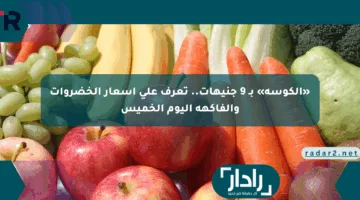 «الكوسة» بـ 9 جنيهات.. تعرف على أسعار الخضروات والفاكهة اليوم الخميس